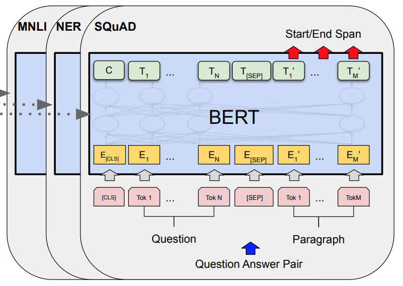 BERT fine-tuning on a variety of natural language tasks